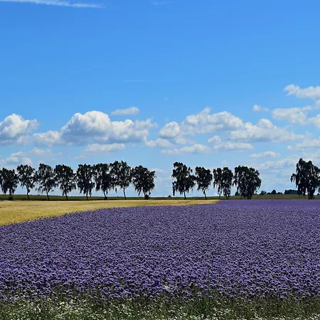 Appartamento Auf Insel Poel